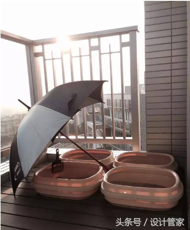 胡杏兒愛巢曝光 !! 室內裝修簡約時尚 ....