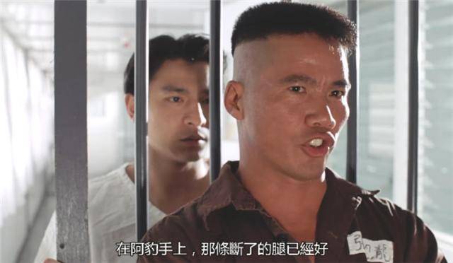 任家萱的學歷，田馥甄的學歷，陳嘉樺的學歷，網友：同是SHE，差距還真是挺大的