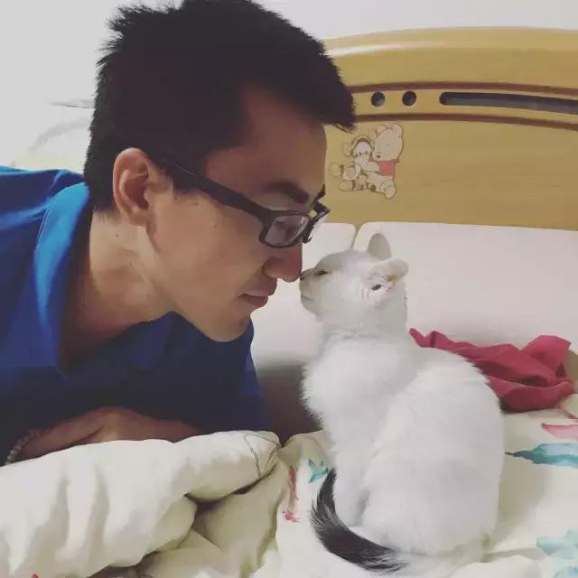 撿來的流浪貓，細心養大後，沒想到竟是傳說中的「掛印拖槍」名貓