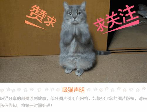 看到一個男孩的背包很特別，走近看後要被氣死！