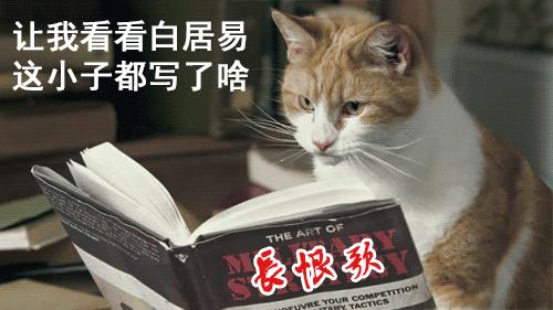 如果《妖貓傳》裡不是黑貓而是橘貓，我能吸上30年