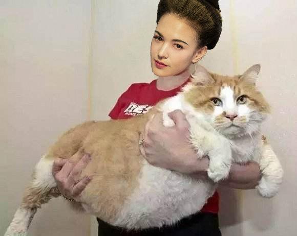 如果《妖貓傳》裡不是黑貓而是橘貓，我能吸上30年