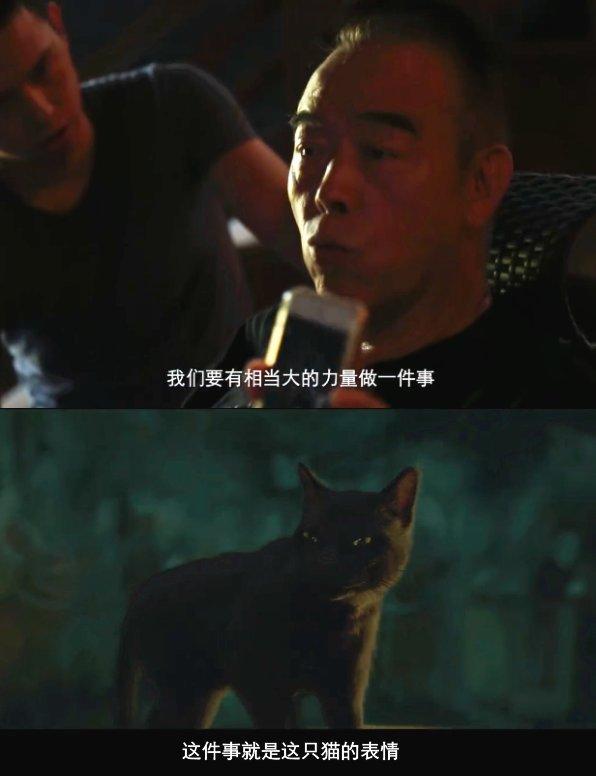 如果《妖貓傳》裡不是黑貓而是橘貓，我能吸上30年