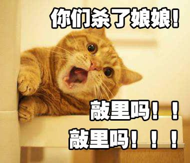 如果《妖貓傳》裡不是黑貓而是橘貓，我能吸上30年