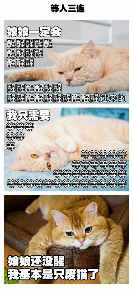 如果《妖貓傳》裡不是黑貓而是橘貓，我能吸上30年