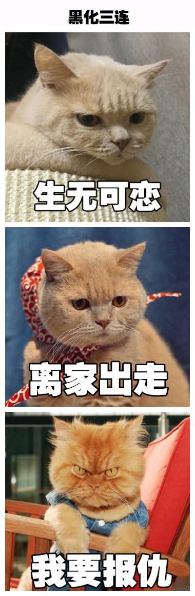 如果《妖貓傳》裡不是黑貓而是橘貓，我能吸上30年