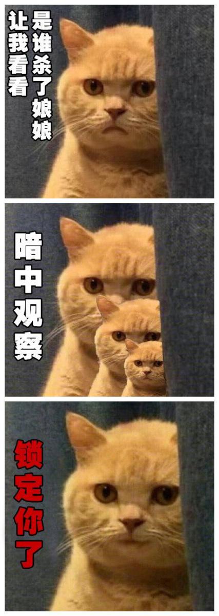 如果《妖貓傳》裡不是黑貓而是橘貓，我能吸上30年
