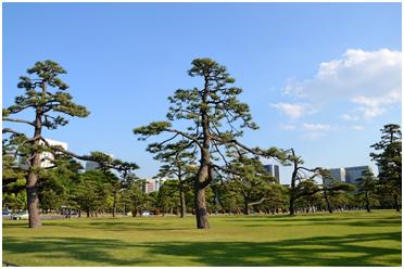 日本必去十大景點排名，去日本必看