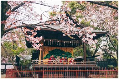 日本必去十大景點排名，去日本必看