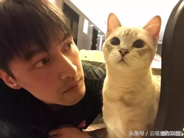 原來冬至不僅可以吃餃子，養貓人還可以這樣玩出花