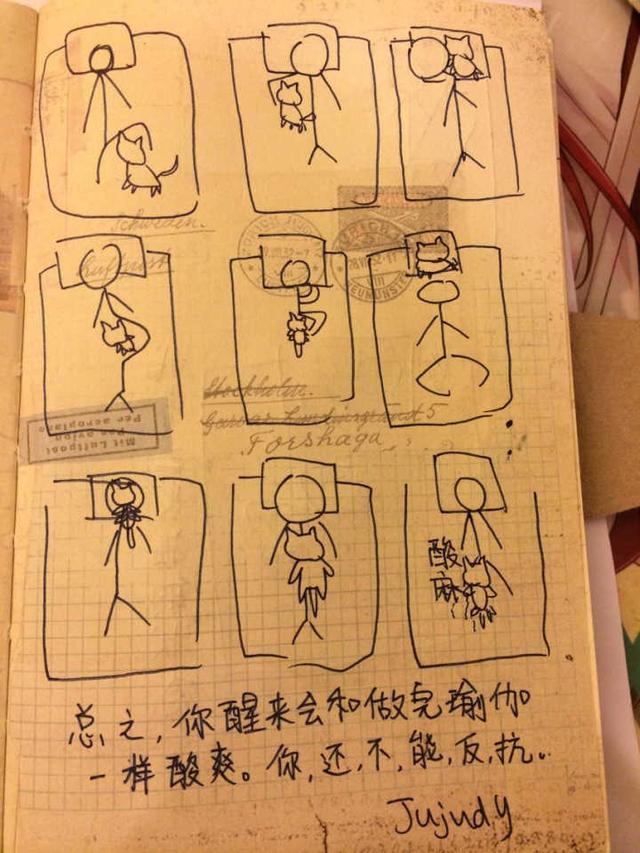被貓睡了！鏟屎官：每次醒來就和做完瑜伽一樣酸爽