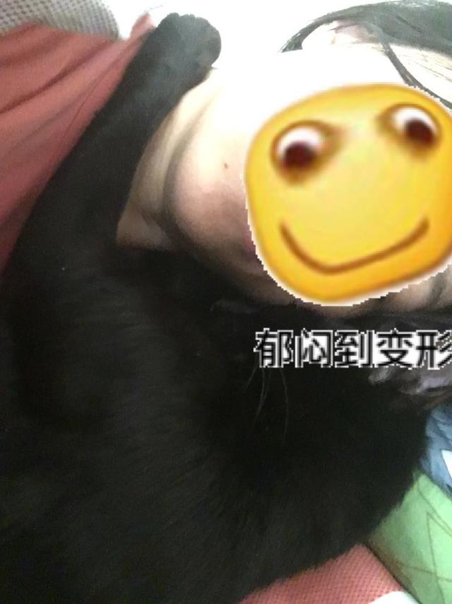 被貓睡了！鏟屎官：每次醒來就和做完瑜伽一樣酸爽