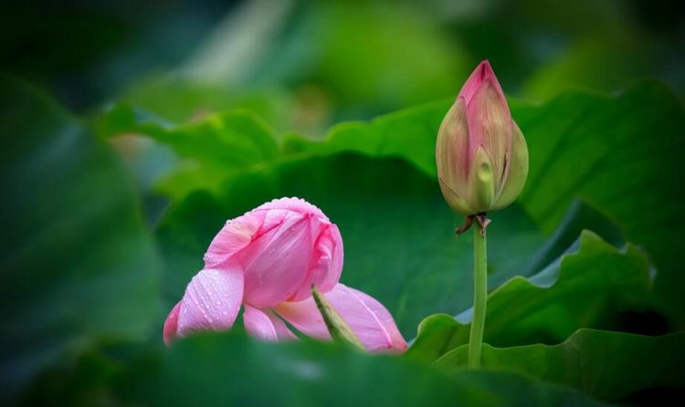 3月28號起成功逆襲，好運常伴身邊，鈔票蹭蹭漲的6大生肖！