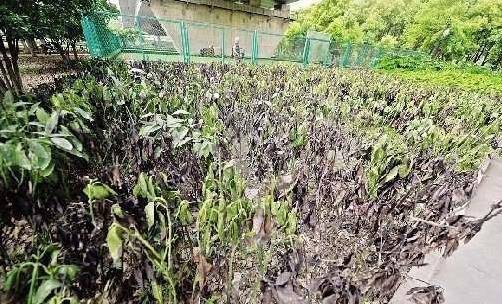 家中的神明桌出現「這些情形」，一定要趕緊處理，不然會衰運連連