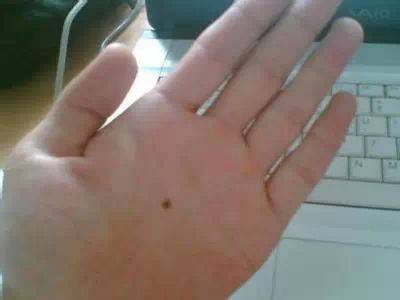 快低頭確認，手指併攏有幾個洞，看出你一生財運！