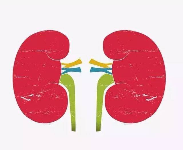 「腎」不好腳知道，如果腳上沒有這三個表現，恭喜你的腎很健康！！