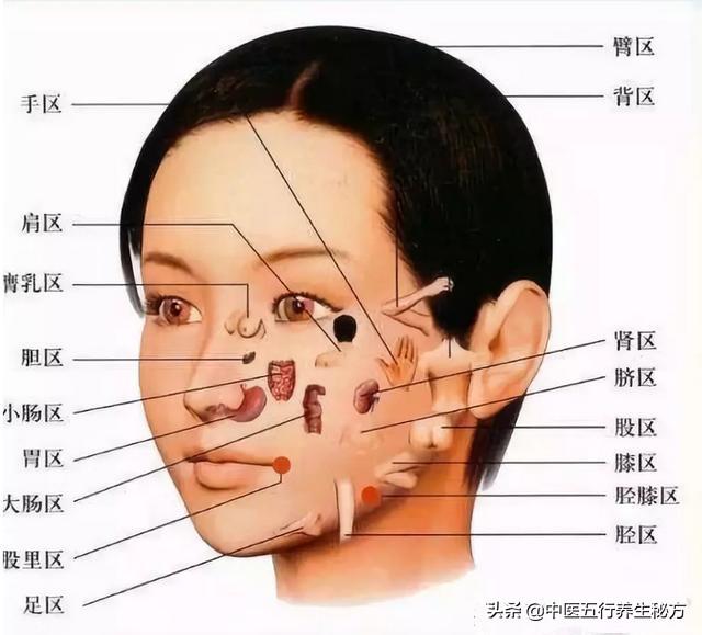 中醫面診的秘密：從臉部看五臟疾病！恕我直言，你不一定真的懂它