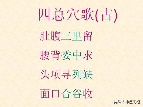 手三里穴-——落枕和急性腰扭傷首選穴