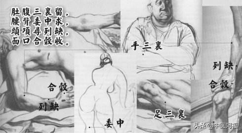 手三里穴-——落枕和急性腰扭傷首選穴