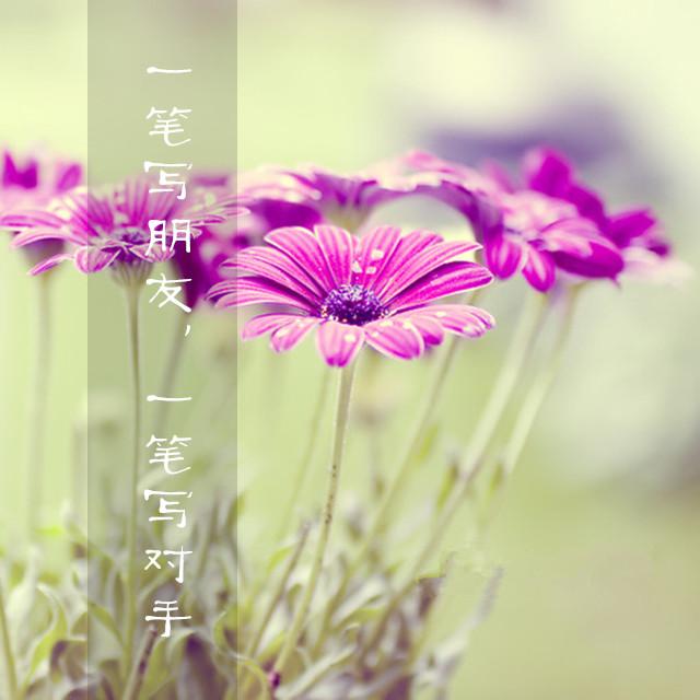 別人潑你的冷水，你就燒開了再潑回去！句句精闢！