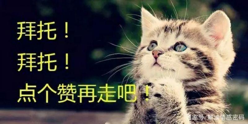 一個人的時候，照顧好自己（看哭了）