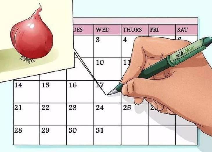 45歲以後的人要注意，這10種食物號稱疏通血管的「高手」，隨便記住兩種你都賺了！