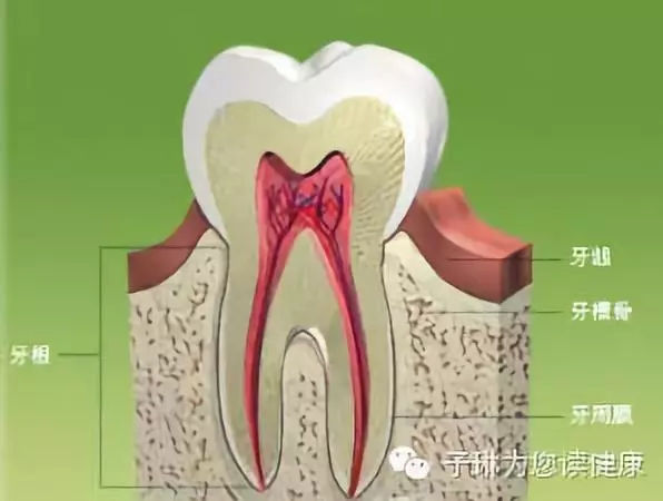 為什麼有人嘴角總裂口?聽醫生說完感覺水真深！ 