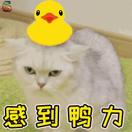 每天堅持刷牙，口腔問題卻不斷！這些刷牙誤區，你中招了嗎？