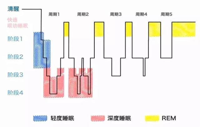 人為什麼會做夢？做夢會影響睡眠質量嗎？