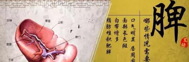 脾氣大，一種病態，告訴你幾個艾灸健脾穴位