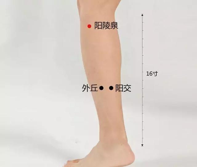 經常突然小腿抽筋，主因在於腎臟，2個動作，教你1分鐘緩解腿抽筋