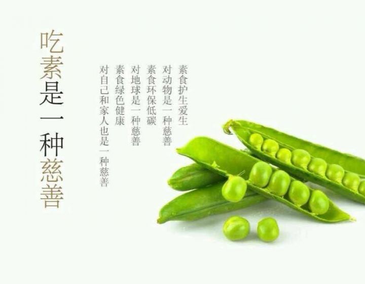 持續吃素90年的結果竟然是這樣啊 ！！！太驚人了..請分享給朋友，會幫助很多人
