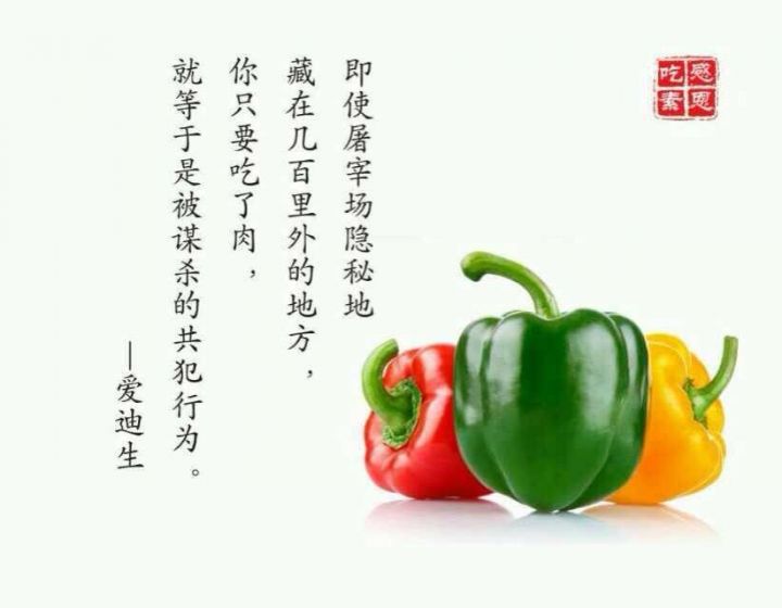 持續吃素90年的結果竟然是這樣啊 ！！！太驚人了..請分享給朋友，會幫助很多人