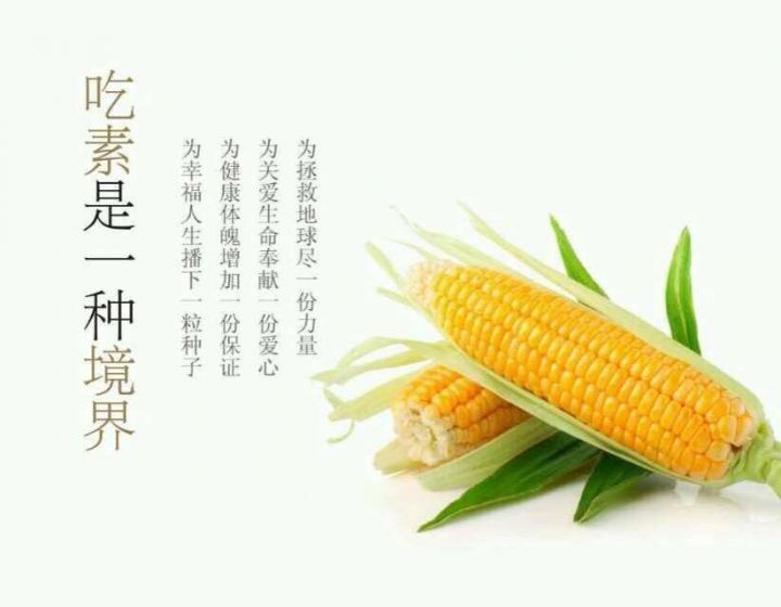 持續吃素90年的結果竟然是這樣啊 ！！！太驚人了..請分享給朋友，會幫助很多人