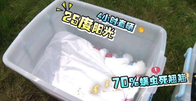床上的蟎蟲，沒太陽曬怎麼辦？教你一招，不用曬就能消滅蟎蟲，方法簡單還省錢！！