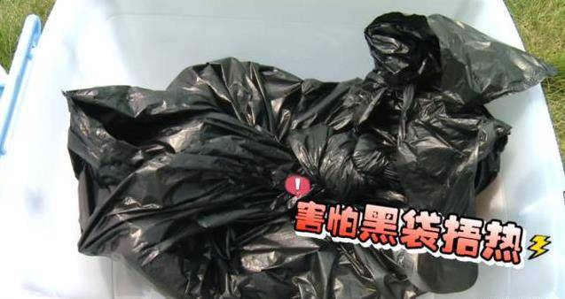 床上的蟎蟲，沒太陽曬怎麼辦？教你一招，不用曬就能消滅蟎蟲，方法簡單還省錢！！