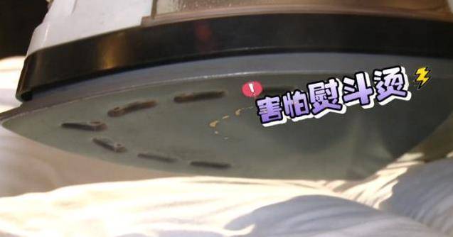 床上的蟎蟲，沒太陽曬怎麼辦？教你一招，不用曬就能消滅蟎蟲，方法簡單還省錢！！
