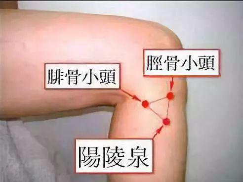 這幾個穴位，是人體的「天然藥房」
