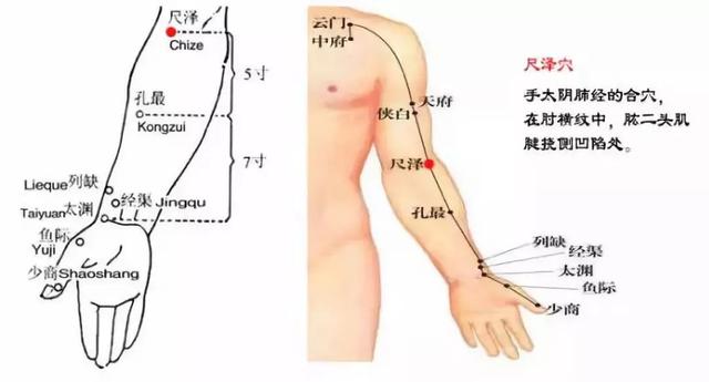 這幾個穴位，是人體的「天然藥房」