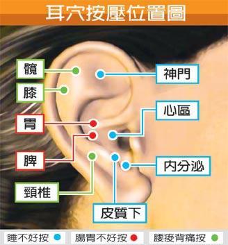 最實用的保健穴位，經常按壓讓您精神煥發！