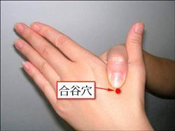 最實用的保健穴位，經常按壓讓您精神煥發！