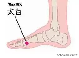 艾灸十大補血養生穴，解決女性衰老根本問題！