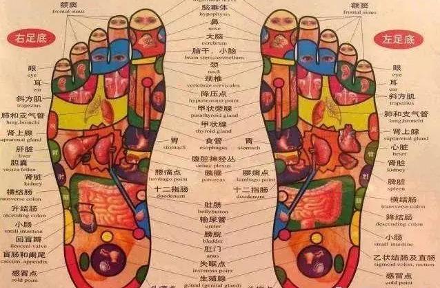 按摩腳底能護眼消脹氣！這些「腳底反射區」你用得上