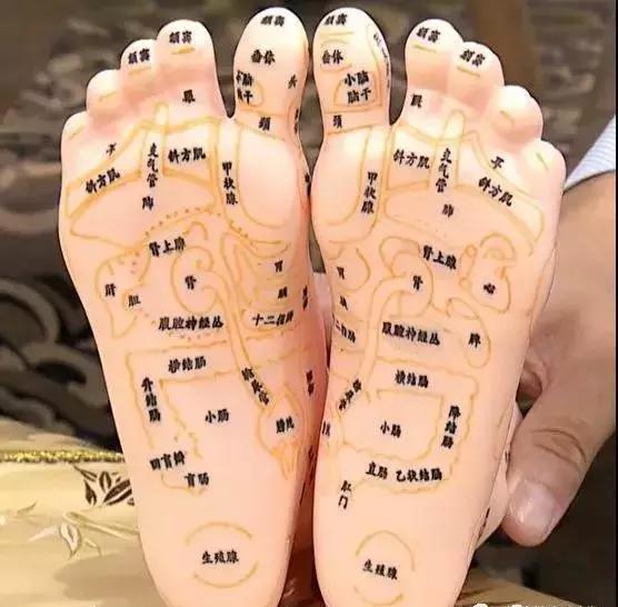 按摩腳底能護眼消脹氣！這些「腳底反射區」你用得上