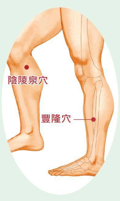 80%的「肥胖」是因為「體內濕氣」在作怪：每天「四穴道按摩法」，祛濕健脾消水腫，在家鏟肉不花錢！ -