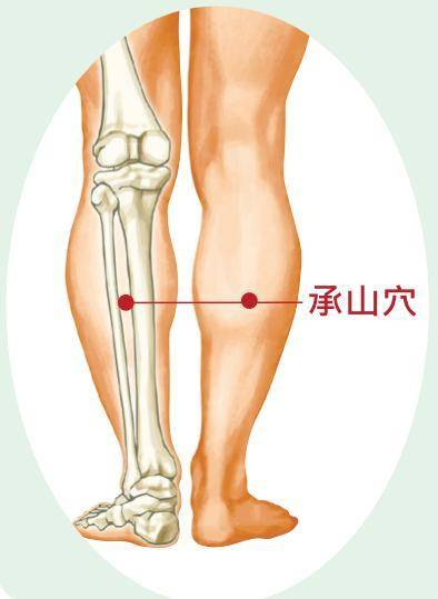 80%的「肥胖」是因為「體內濕氣」在作怪：每天「四穴道按摩法」，祛濕健脾消水腫，在家鏟肉不花錢！ -