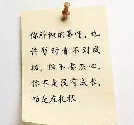 14937143616992.jpg