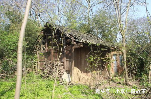 父親去世，遺產歸兒子，女兒拿一物留紀念，幾年後，女兒蒙了
