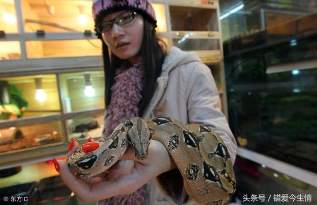 找個高富帥老公，新婚夜正要休息，鋪開被子，我尖叫一聲連夜逃走