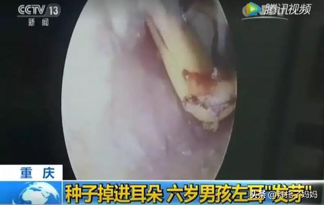 5歲男童遊樂場離世，遊樂場裡這些危險的角落，千萬別帶孩子去